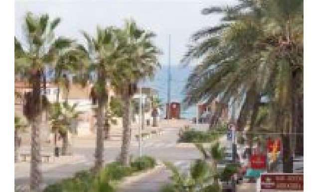 Piso - apartamento - Venta - La Mata - La Mata