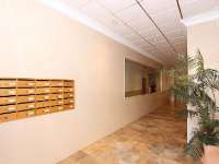 Venta - Piso - apartamento - A-TORREVIEJA - Pueblo