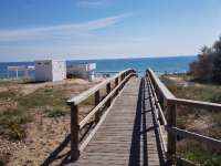 Venta - Local - La Mata