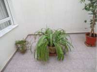 Venta - Planta Baja - A-GUARDAMAR DEL SEGURA - Mercadona (300m playa)