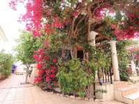 Venta - Bungalow - Chalet - adosado - A-ORIHUELA COSTA - Campoamor