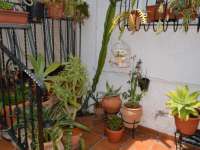 Venta - Bungalow - Chalet - adosado - San Fulgencio