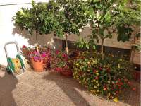 Venta - Bungalow - Chalet - adosado - A-GUARDAMAR DEL SEGURA - Sur (rotonda entrada)