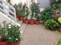 Venta - Bungalow - Chalet - adosado - A-GUARDAMAR DEL SEGURA - Sur (rotonda entrada)