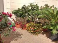 Venta - Bungalow - Chalet - adosado - A-GUARDAMAR DEL SEGURA - Sur (rotonda entrada)