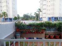 Venta - Planta Baja - A-GUARDAMAR DEL SEGURA - Puerto MasyMas