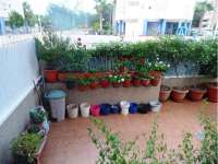 Venta - Planta Baja - A-GUARDAMAR DEL SEGURA - Puerto MasyMas