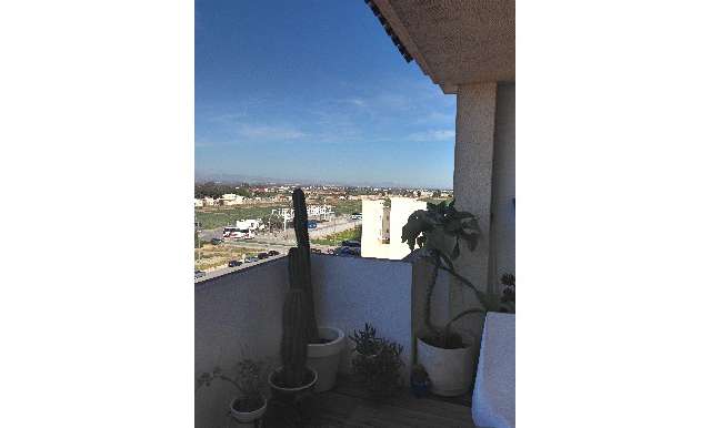 Penthouse - Sale - Almoradi - Almoradi