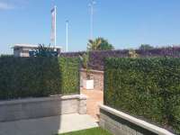 Venta - Atico - A-GUARDAMAR DEL SEGURA - Oeste (Eden-Raso)