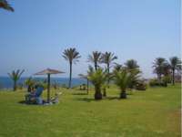 Venta - Bungalow - Chalet - adosado - A-TORREVIEJA - Aguas Nuevas