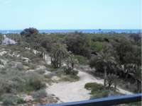 Venta - Piso - apartamento - A-GUARDAMAR DEL SEGURA - Puerto Deportivo