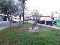 Venta - Planta Baja - A-GUARDAMAR DEL SEGURA - Pueblo 