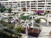 Venta - Local - A-GUARDAMAR DEL SEGURA - Plaza Porticada