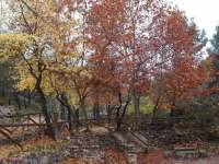 Venta - Terreno - A-ALICANTE CAPITAL - SAN JUAN PLAYA-CABO HUERTAS