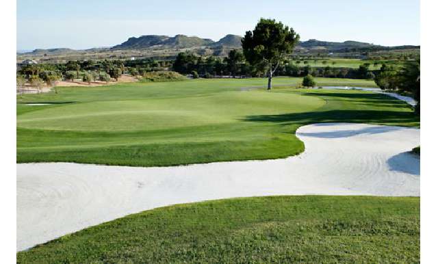 Piso - apartamento - Venta - Monforte del Cid - Monforte del Cid