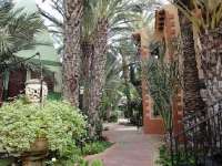 Alquiler - Chalet - Villa - San Vicente del Raspeig - Los Girasoles