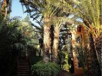 Alquiler - Chalet - Villa - San Vicente del Raspeig - Los Girasoles