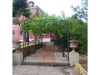 Venta - FInca - casa campo - Busot - Bussot