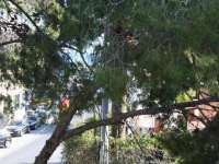 Venta - Chalet - Villa - A-ALICANTE CAPITAL - SAN JUAN PLAYA-CABO HUERTAS