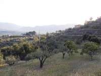 Venta - Terreno - Millena