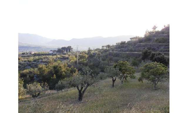 Land - Sale - Millena - Millena