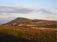 Sale - Land - Murcia