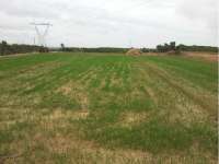 Venta - Terreno - La Marina - Urbanizaciones