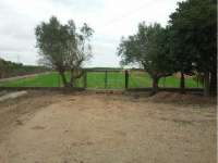 Venta - Terreno - La Marina - Urbanizaciones