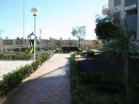 Venta - Piso - apartamento - A-GUARDAMAR DEL SEGURA - Puerto Deportivo