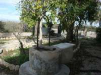 Sale - Villa - Crevillente