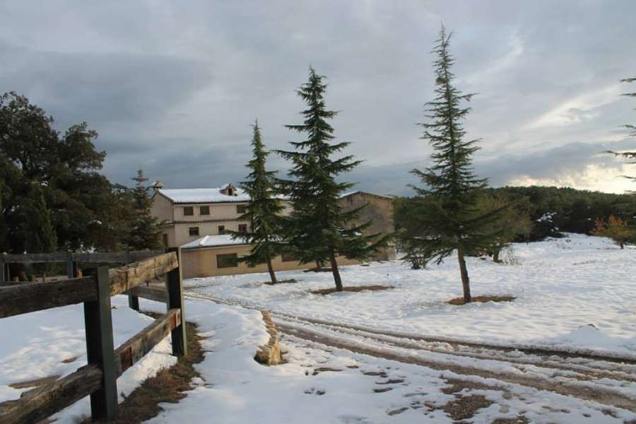 Sale - Estate - Alcoy