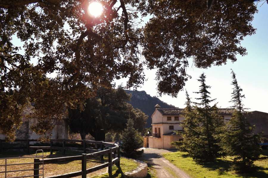 Sale - Estate - Alcoy