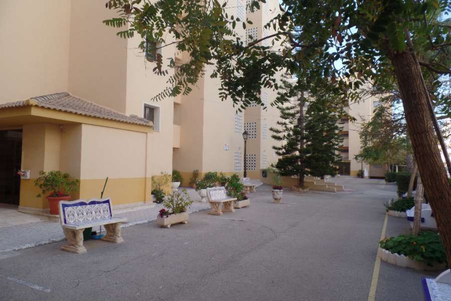 Venta - Piso - apartamento - A-GUARDAMAR DEL SEGURA - Mercadona (300m playa)