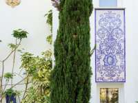 Продажа - Дом - Marbella