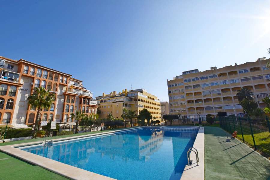 Venta - Piso - apartamento - La Mata
