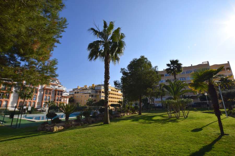 Venta - Piso - apartamento - La Mata