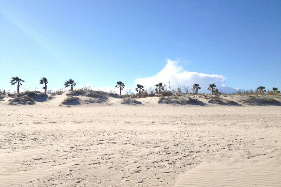 Sale - Villa - PILAR DE LA HORADADA - Pilar de la Horadada