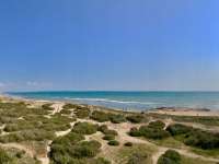 Venta - Piso - apartamento - La Mata