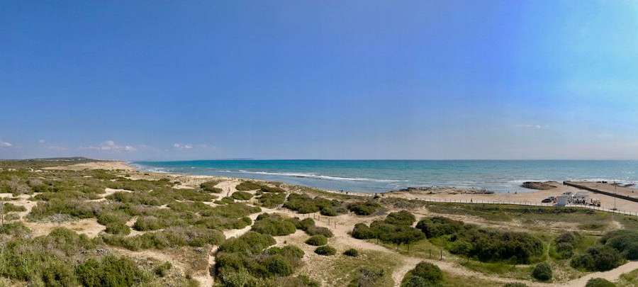 Venta - Piso - apartamento - La Mata