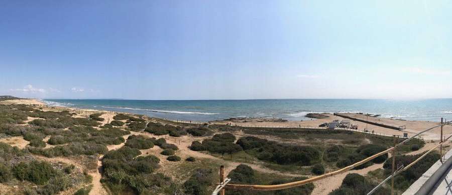 Venta - Piso - apartamento - La Mata