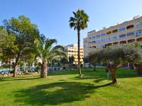 Продажа - Квартира Апартаменты - La Mata