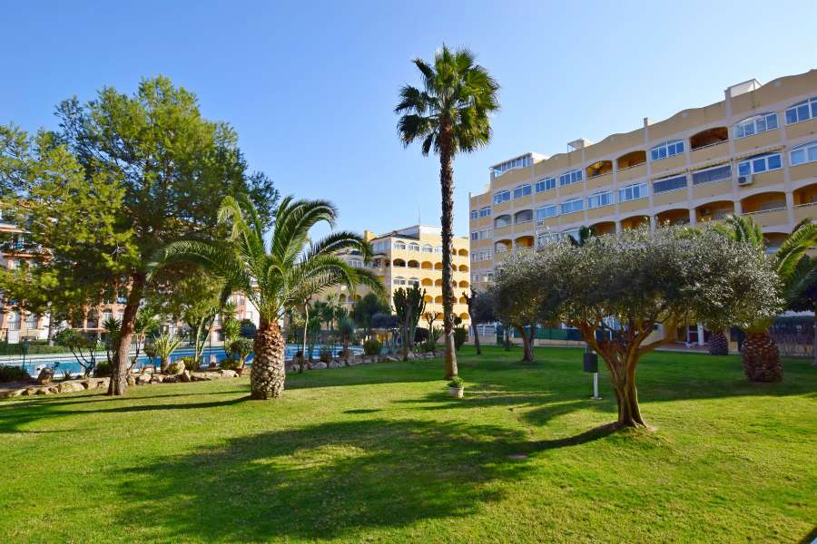 Sale - Penthouse - La Mata