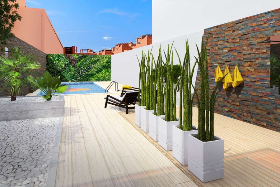 Venta - Piso - apartamento - A-TORREVIEJA - Playa de los Locos