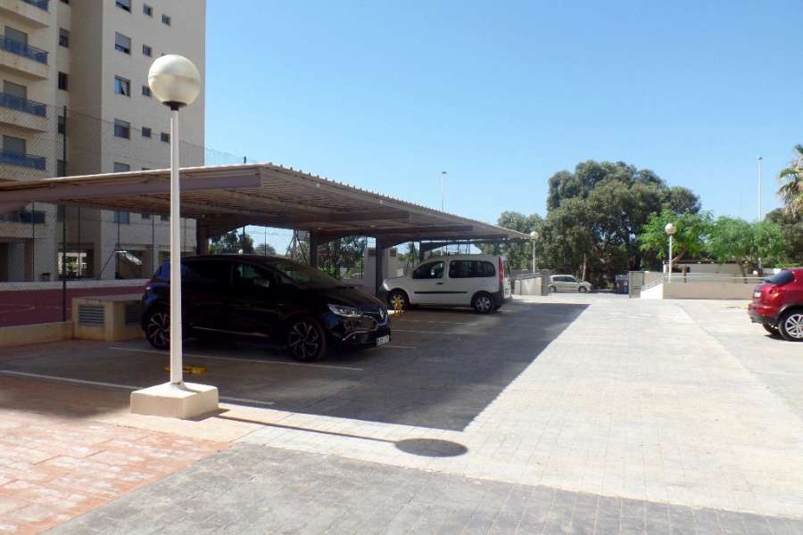 Venta - Piso - apartamento - A-GUARDAMAR DEL SEGURA - Puerto Deportivo