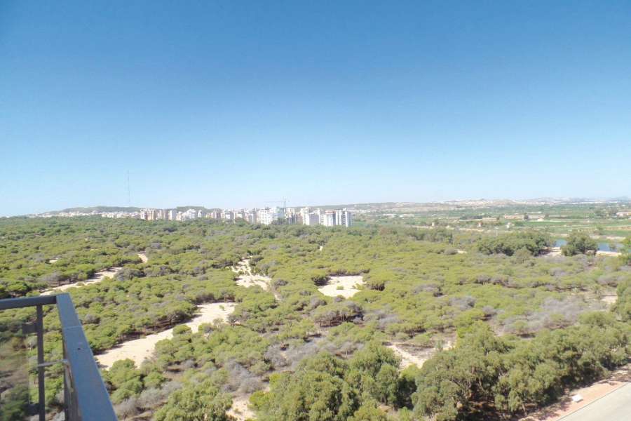 Venta - Piso - apartamento - A-GUARDAMAR DEL SEGURA - Puerto Deportivo