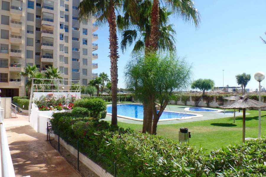 Venta - Piso - apartamento - A-GUARDAMAR DEL SEGURA - Puerto Deportivo