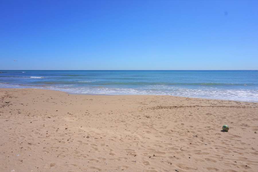 Venta - Piso - apartamento - La Mata