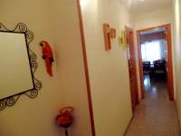 Venta - Piso - apartamento - A-GUARDAMAR DEL SEGURA - Mercadona (300m playa)