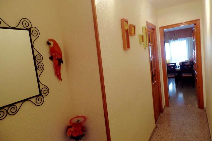 Venta - Piso - apartamento - A-GUARDAMAR DEL SEGURA - Mercadona (300m playa)