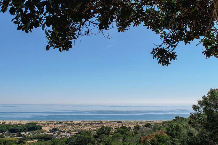 Venta - Piso - apartamento - Santa Pola - Gran Alacant